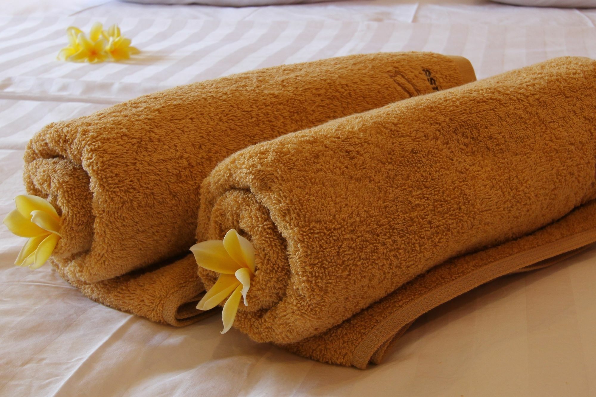 Saren Guest House Canggu Екстериор снимка